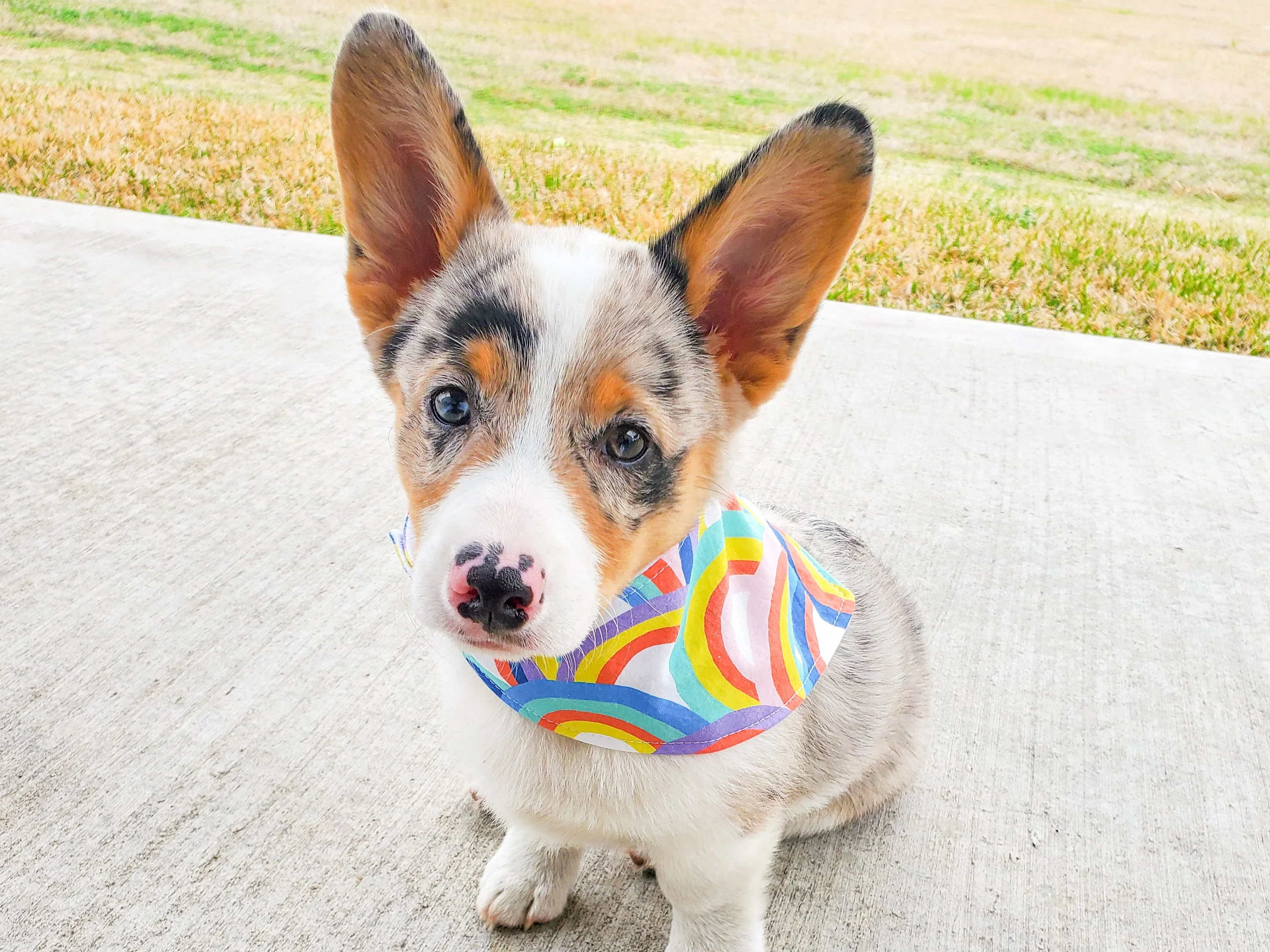 Thumbnail 9