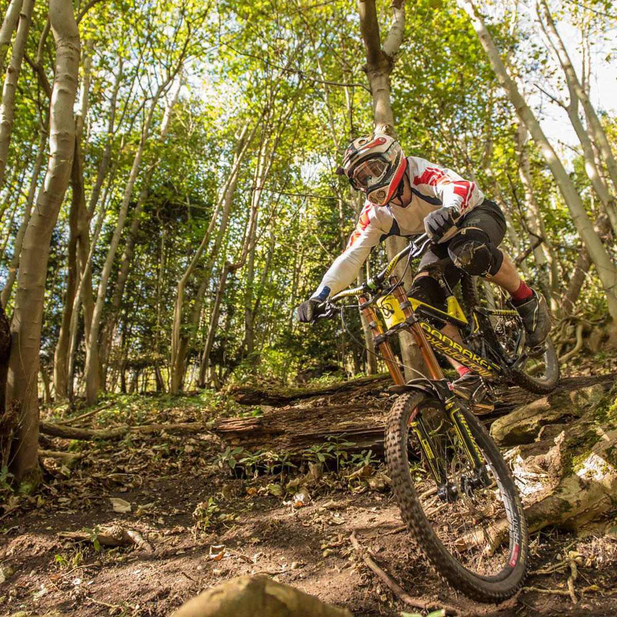 Thumbnail 7