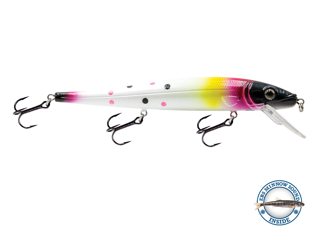 Thumbnail 17
